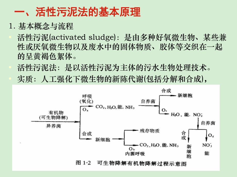 第四章--污水的生物处理.ppt_第2页