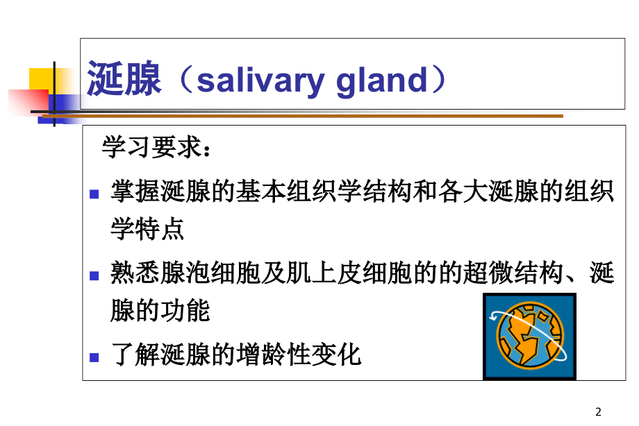 第四章涎腺.ppt_第1页