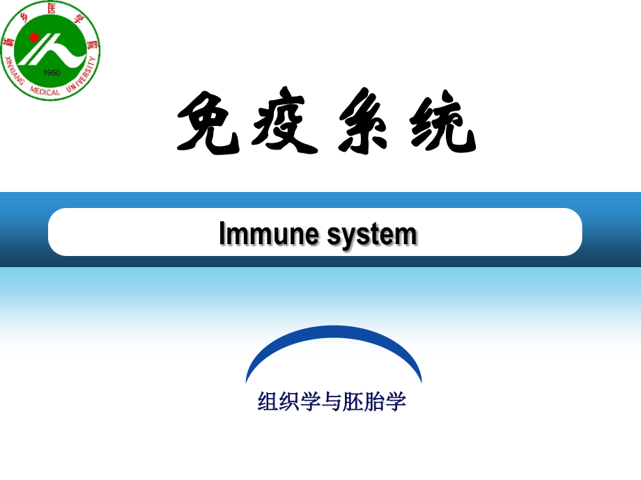 组织学与胚胎学第12章-免疫系统.ppt_第2页