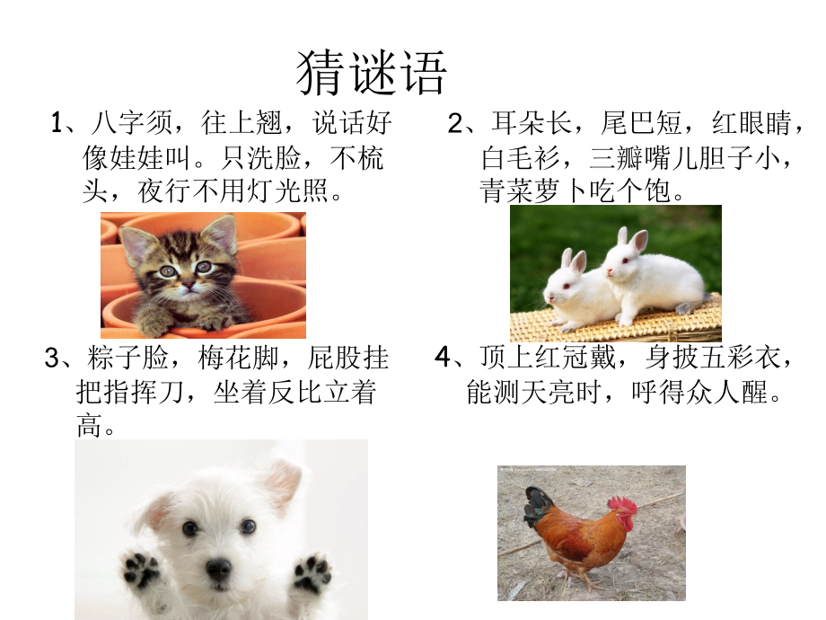 三年级作文课件小动物.ppt_第2页