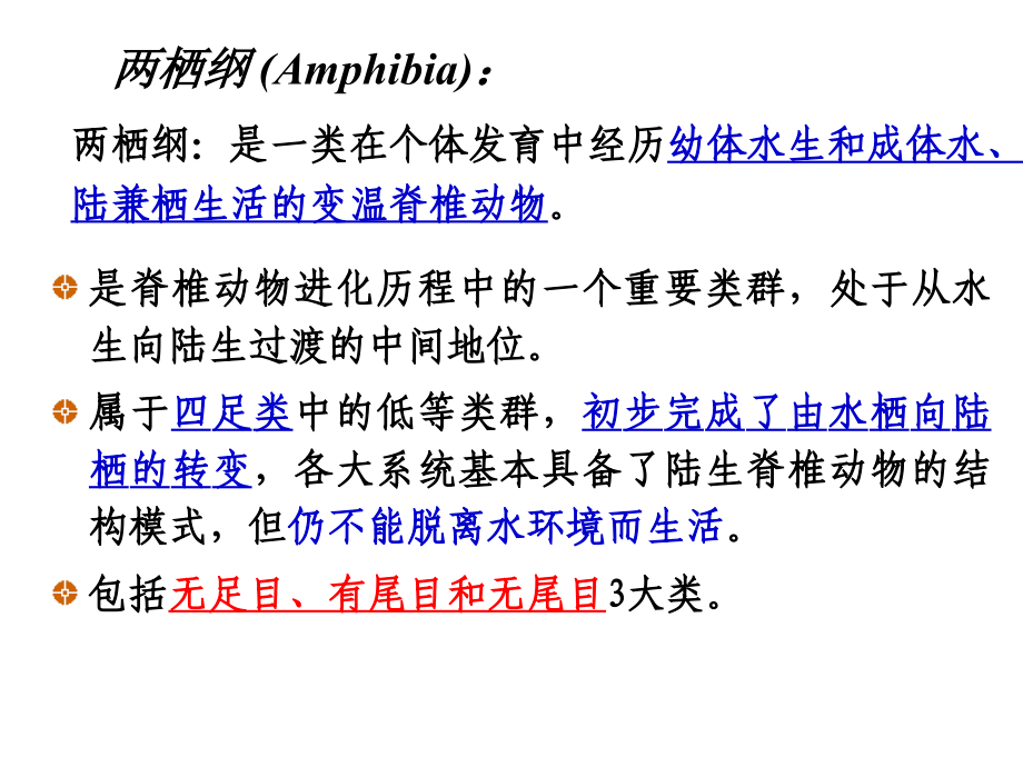 第18章.两栖纲.ppt_第2页