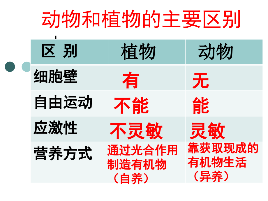 腔肠动物课件(完成).ppt_第1页
