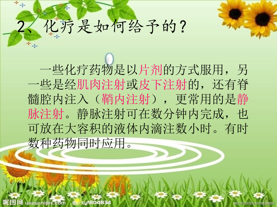 肿瘤相关化疗知识.ppt_第2页