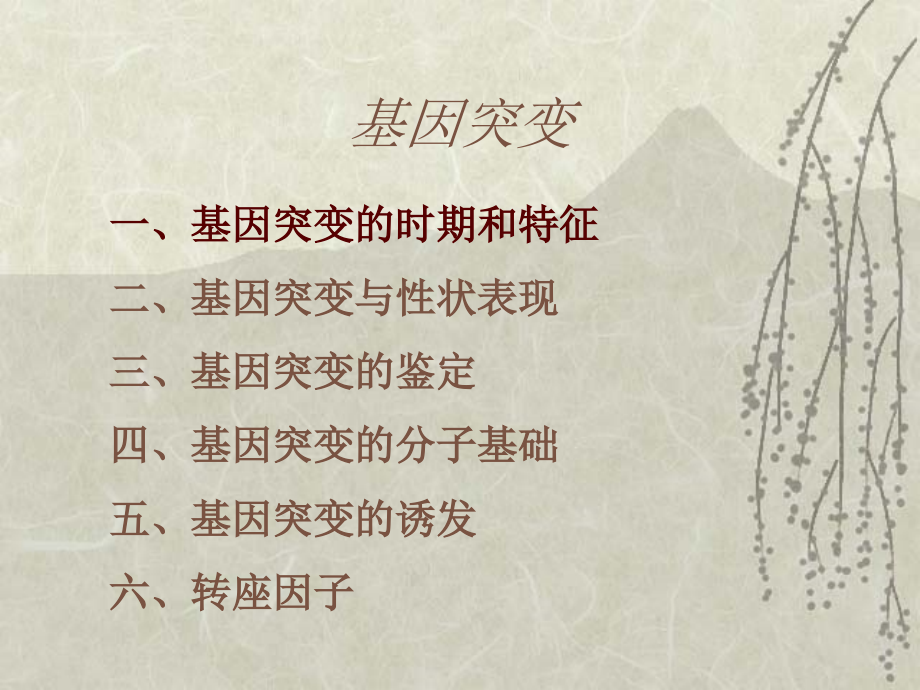 上海交通大学遗传学课件基因突变.ppt_第2页