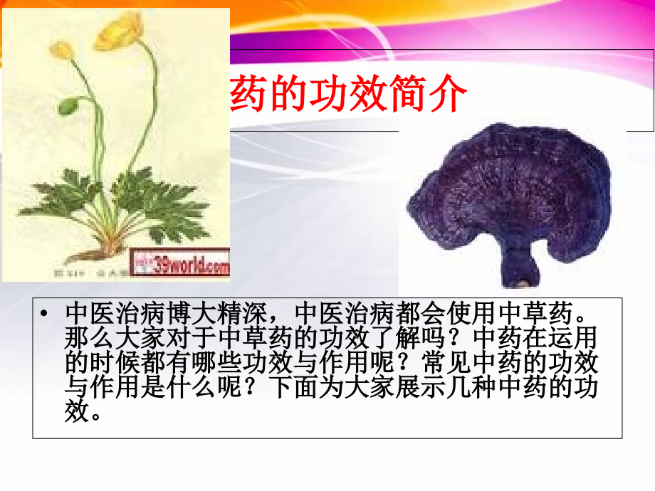 中药养生.ppt_第2页