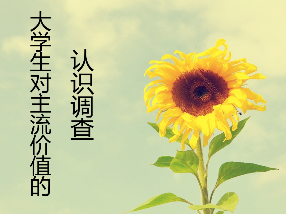 大学生对主流价值观的认同.pptx_第1页