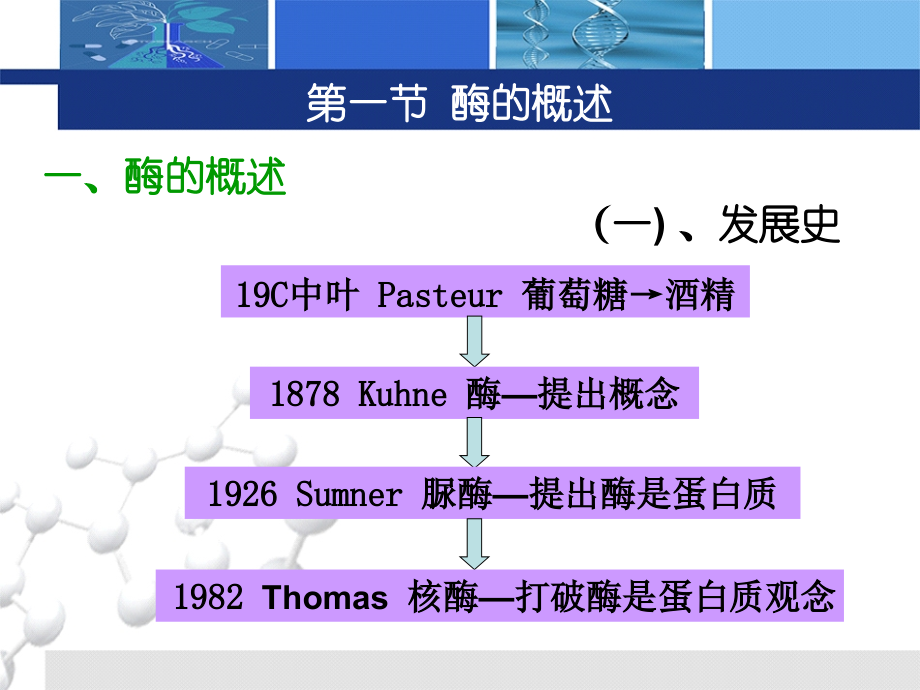 第12章--生物代谢与调节物质.ppt_第2页