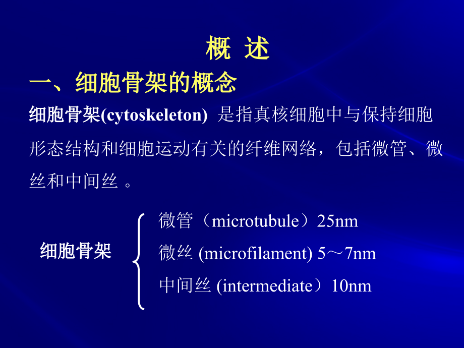 第6章-细胞骨架与细胞运动(辛华).ppt_第2页