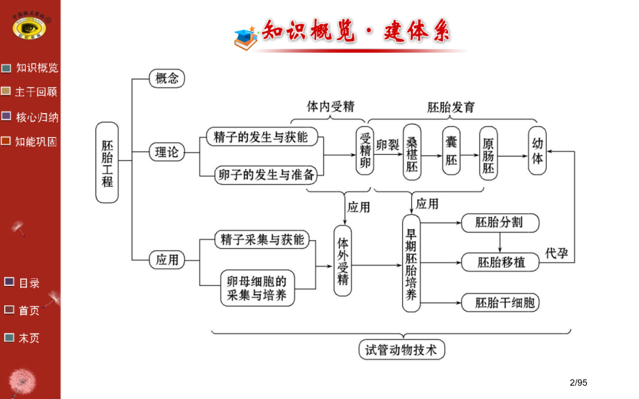 高中生物选修3专题3.pptx_第2页