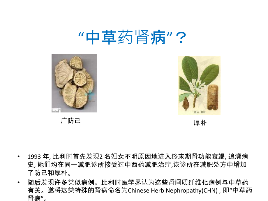 中药肾毒性.ppt_第2页