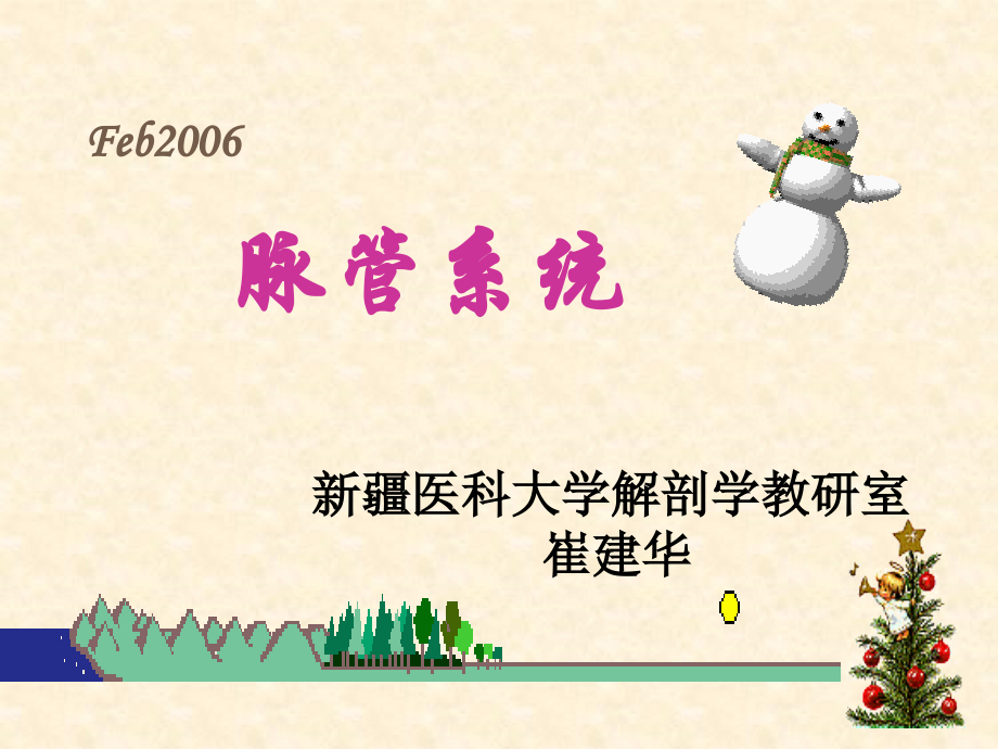 脉总、心形态学.ppt_第1页