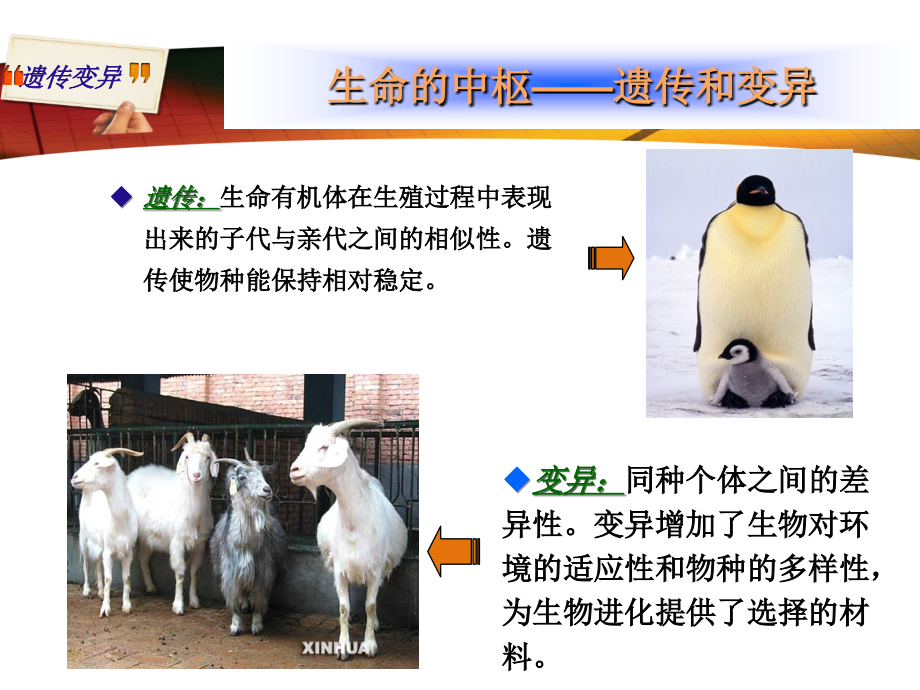 第5章-细菌的遗传与变异.ppt_第2页