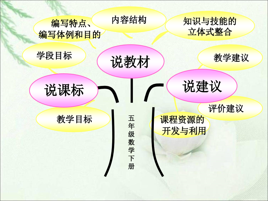 苏教版五年级数学下册说课标说教材修改后——付学鸿.ppt_第1页