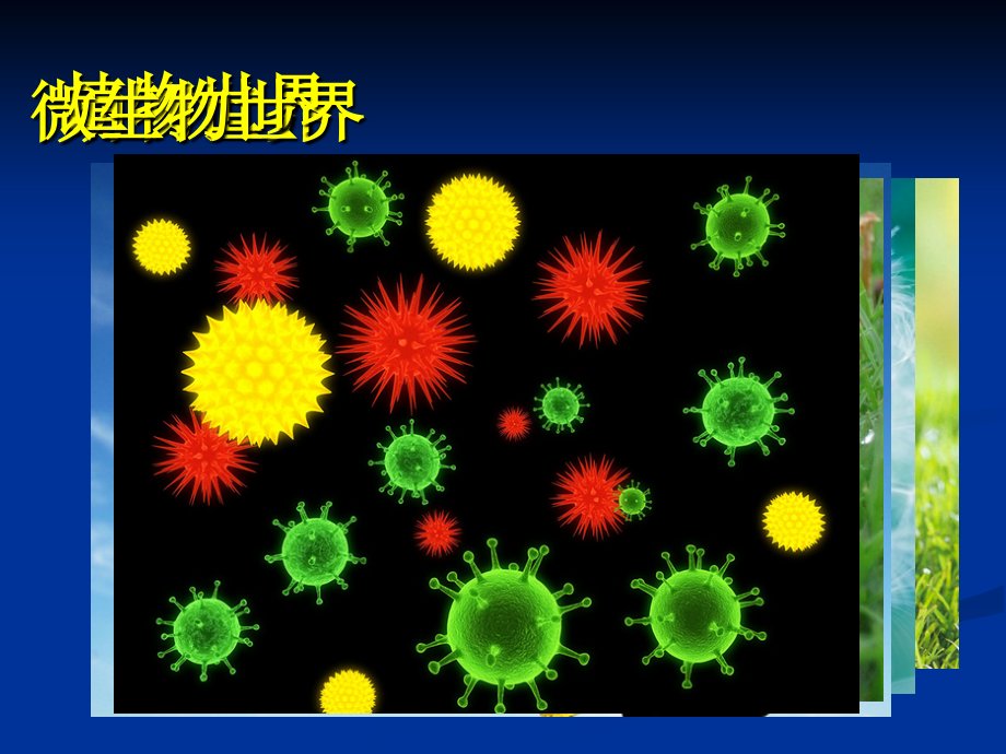 科学-病毒.ppt_第1页