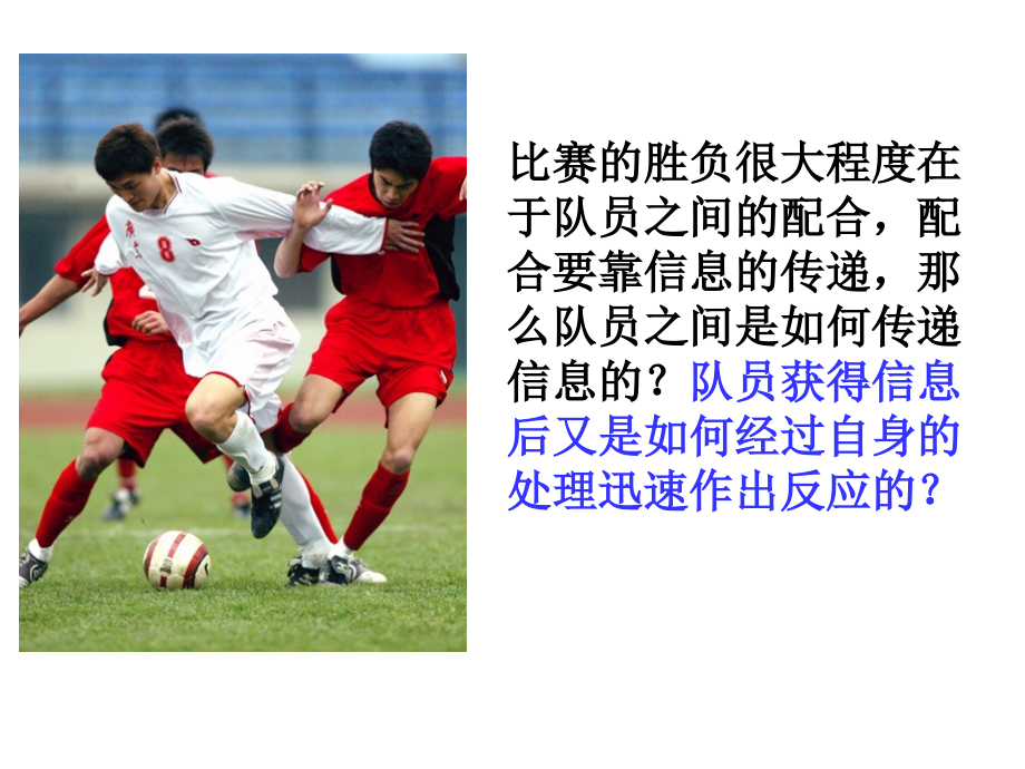 JY-2.1通过神经系统的调节.ppt_第1页