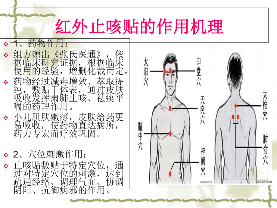 红外止咳贴(穴位止咳).ppt_第2页