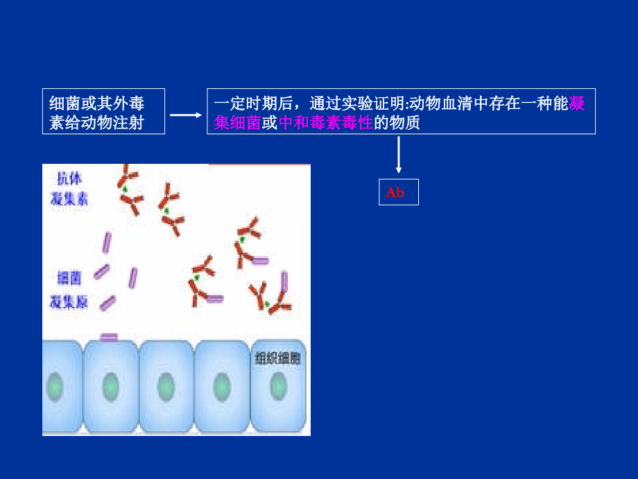 第4章-补体系统.ppt_第1页