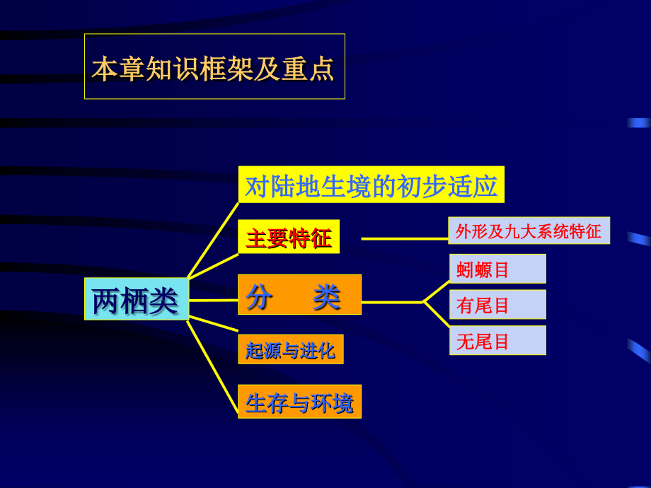 第18章两栖纲.ppt_第1页
