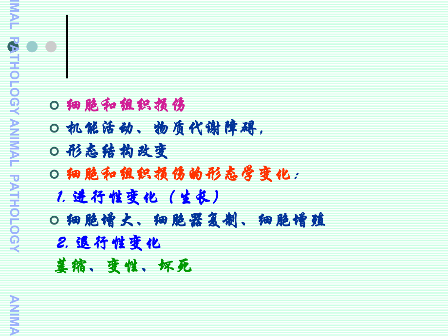 第3章--组织与细胞损伤.ppt_第2页