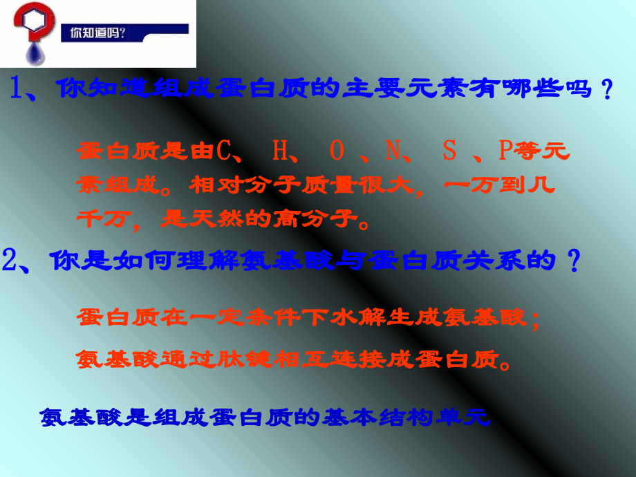 蛋白质核酸课件.ppt_第1页