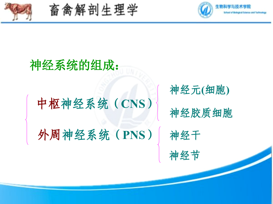 Chapter-6-神经系统(下).ppt_第2页