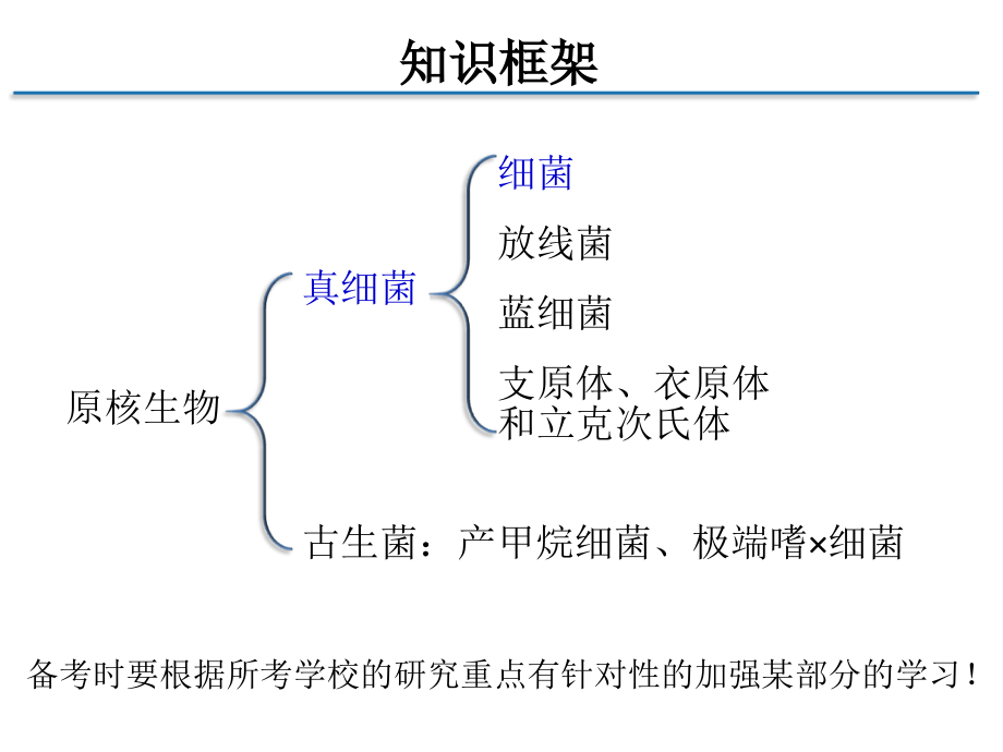 第一章-原核微生物的形态、构造和功能.ppt_第2页