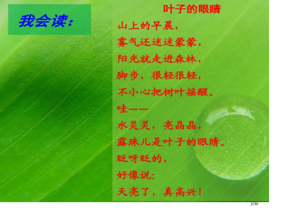 叶子的眼睛-公开课.pptx_第2页