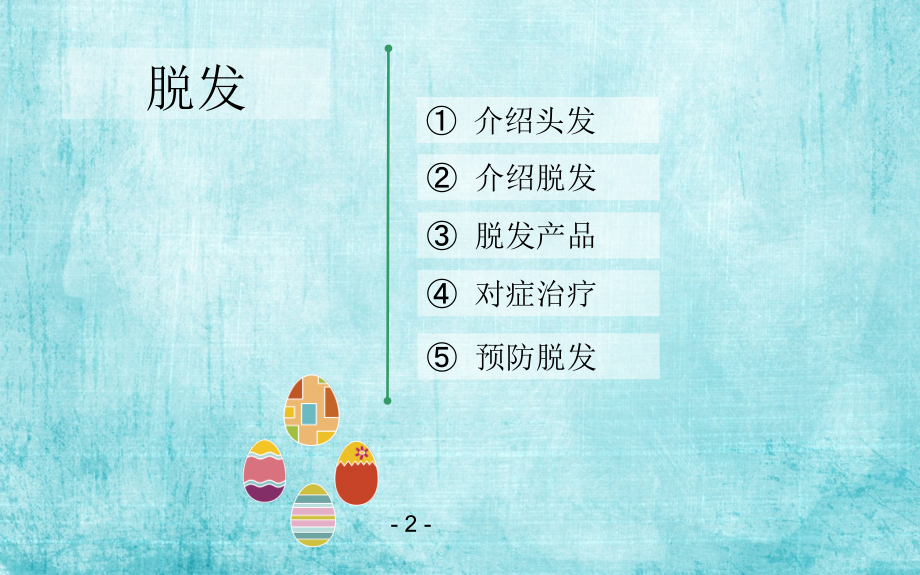 脱发疾病培训.ppt_第2页