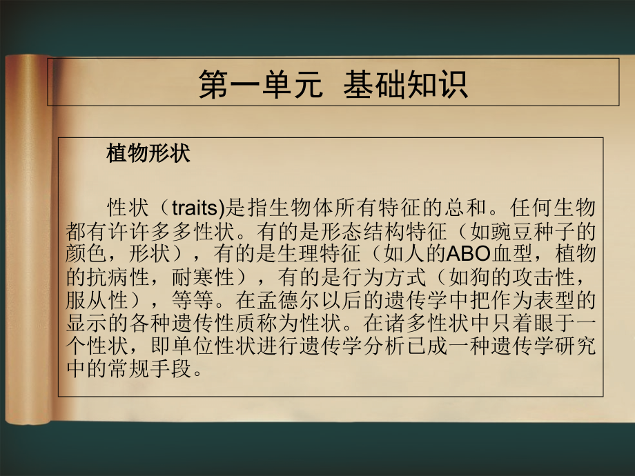 社区绿化.ppt_第1页