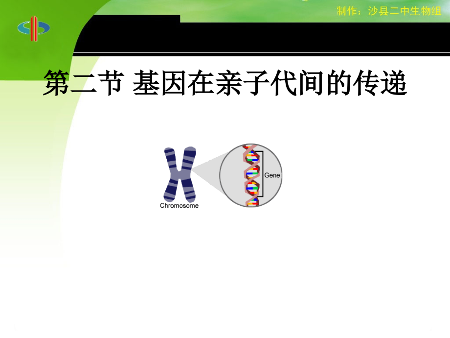 第七单元-第二章-第二节基因在亲子代间的传递.ppt_第1页