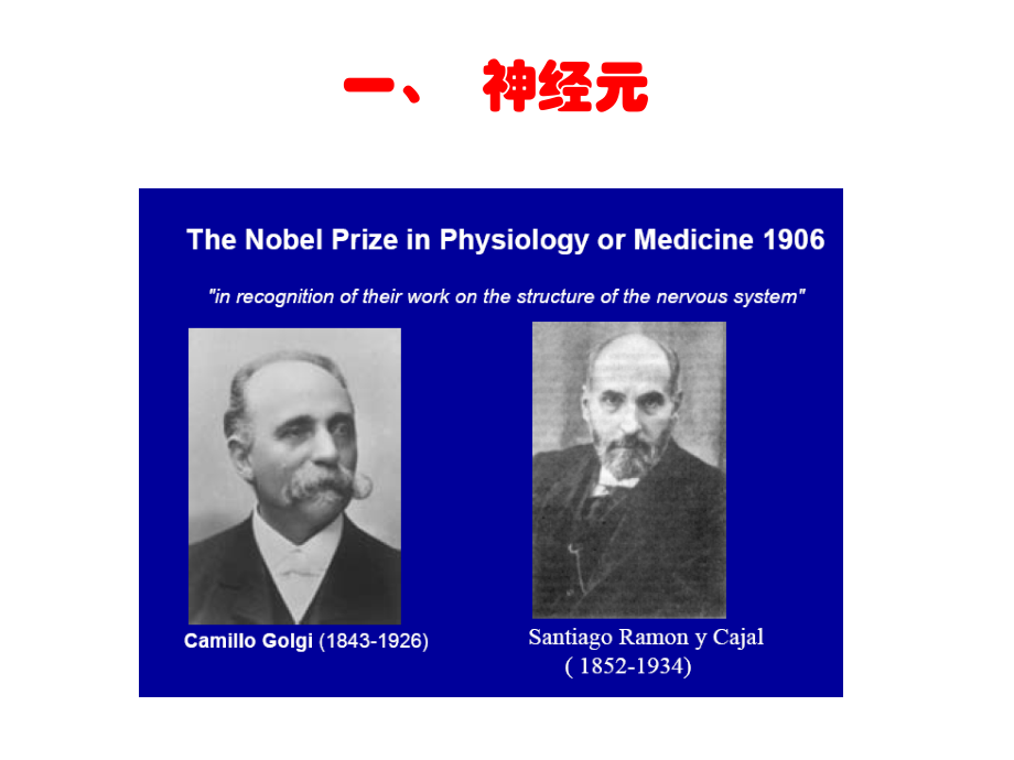 神经生物学-3-神经元和神经胶质细胞.ppt_第1页