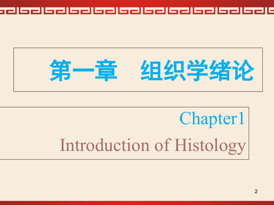 组织学与胚胎学--绪论上皮1.ppt_第2页