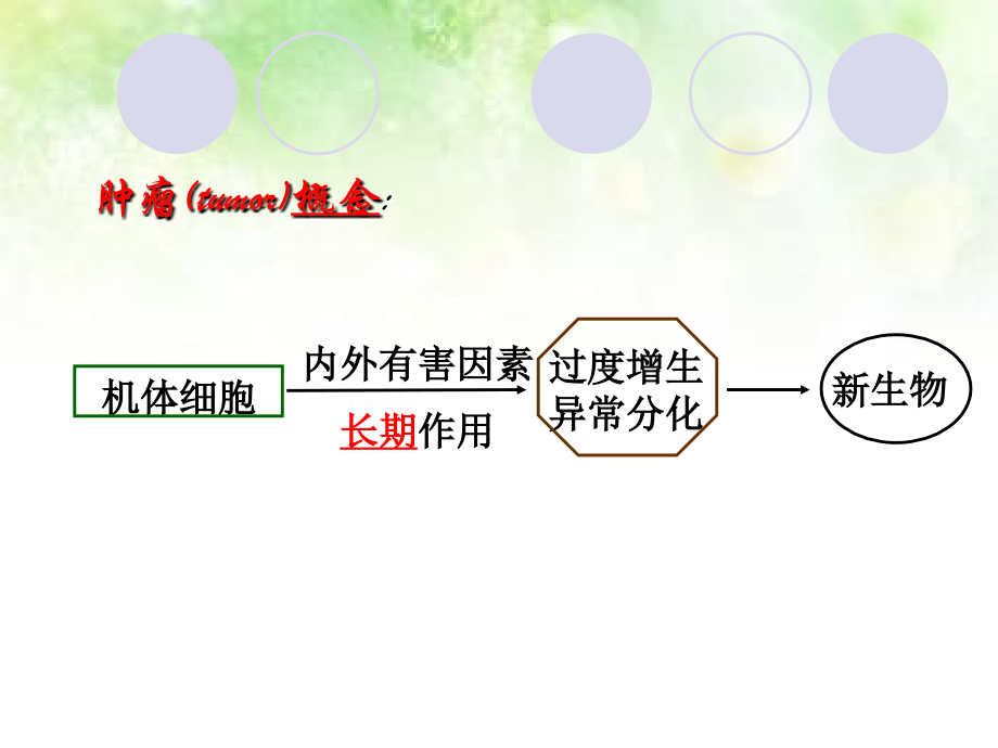 肿瘤的相关知识与特色护理.ppt_第2页