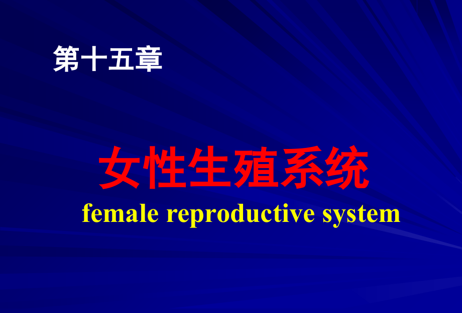 第十五章-女性生殖系统.ppt_第1页