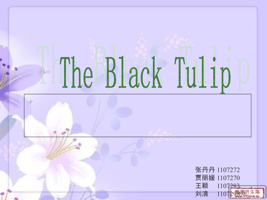 黑色郁金香读书欣赏英语.pptx_第1页