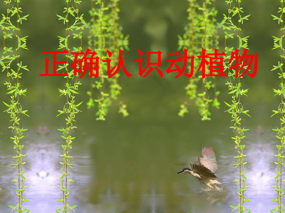 三年级语文下册-习作六《谈谈自己的看法》课件5-苏教版.ppt_第2页