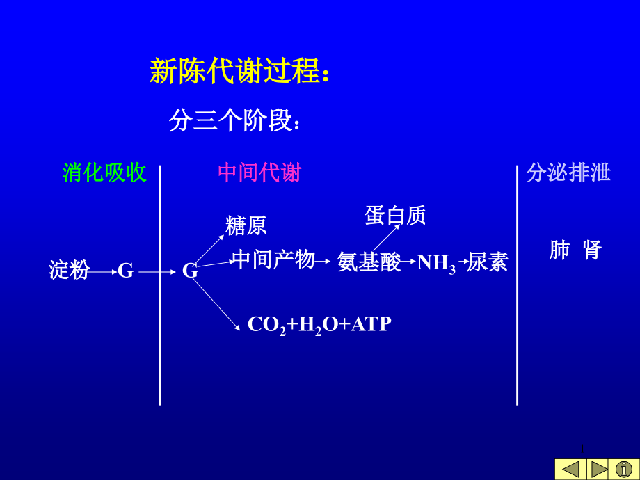 糖代谢-医学生物化学-课件-上海交通大学医学院-06.ppt_第1页