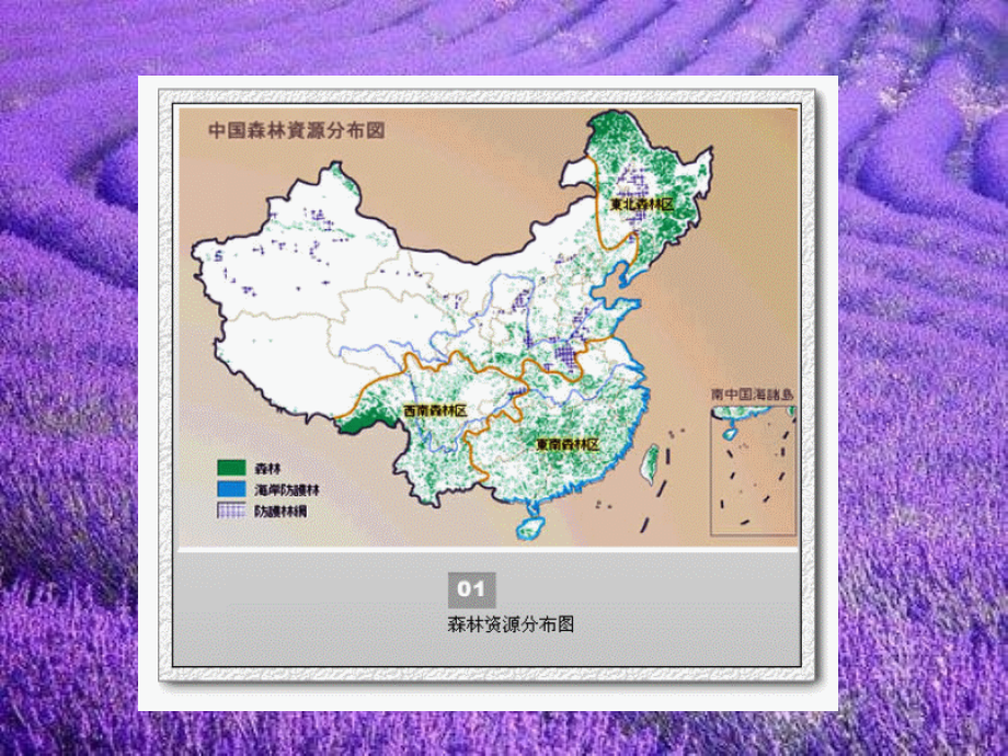 第三章-生物景观旅游资源.ppt_第2页
