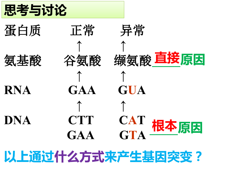《基因突变和基因重》.ppt_第2页