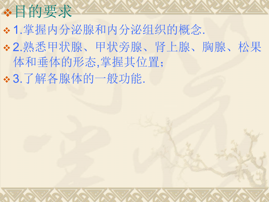 系统解剖学内分泌.ppt_第1页