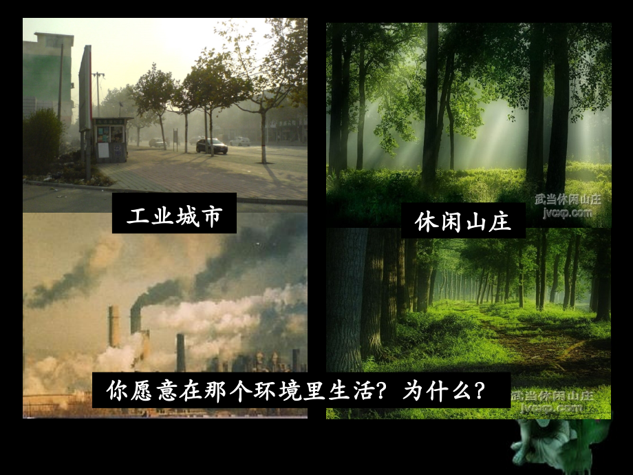 空气质量与健康-人教版-七年级生物-课件.ppt_第1页