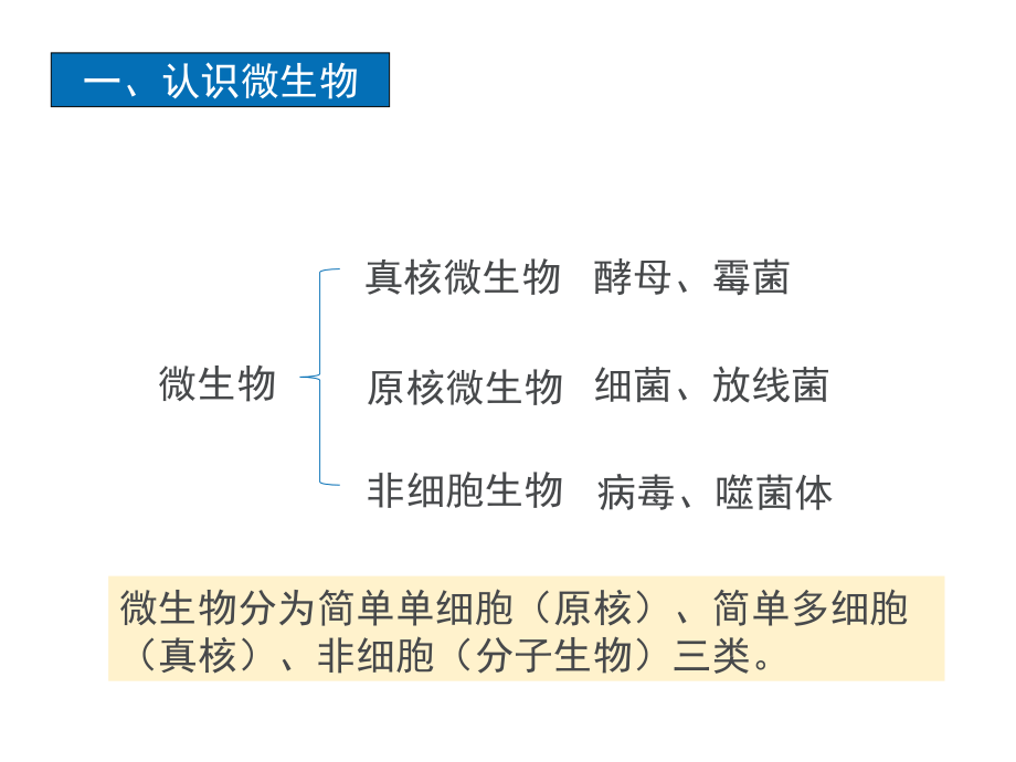 药学微生物-项目三-镜检技术123-微生物形态认识.ppt_第1页