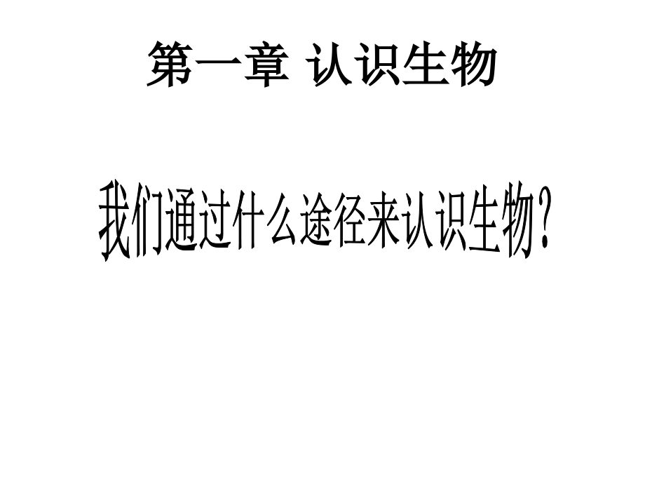 七年级第一章第一节认识生物.ppt_第2页