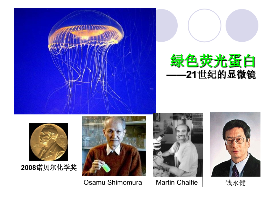 离散数学第一章课件.ppt_第1页