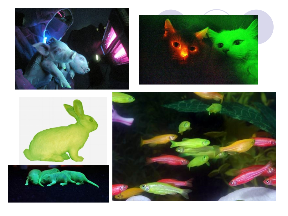 离散数学第一章课件.ppt_第2页