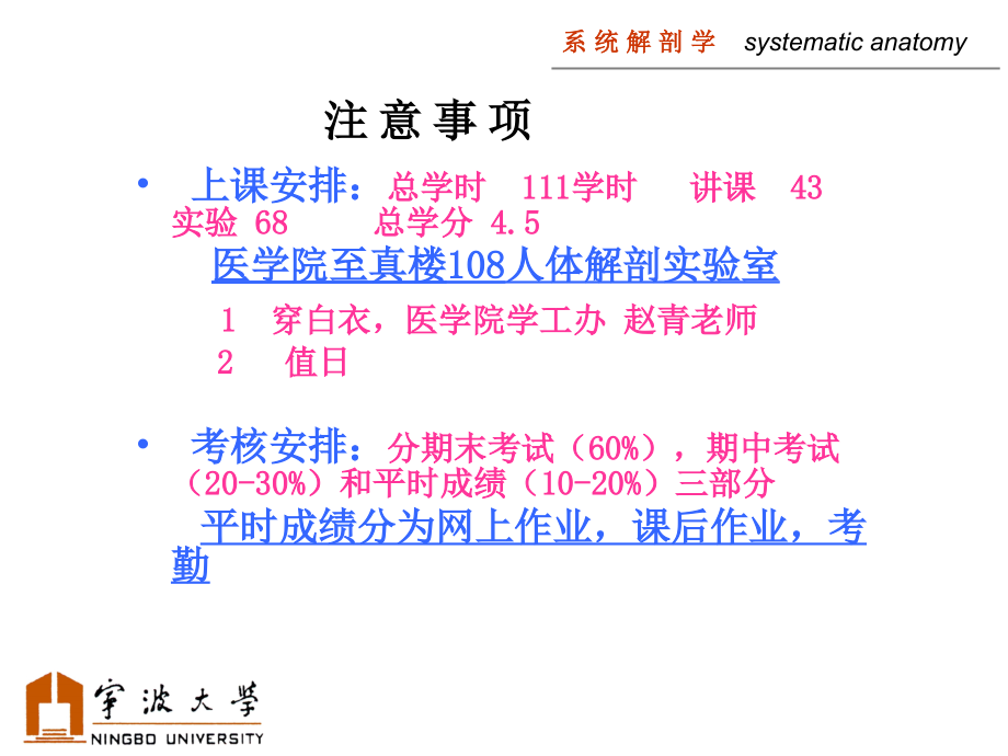 系统解剖学.ppt_第1页