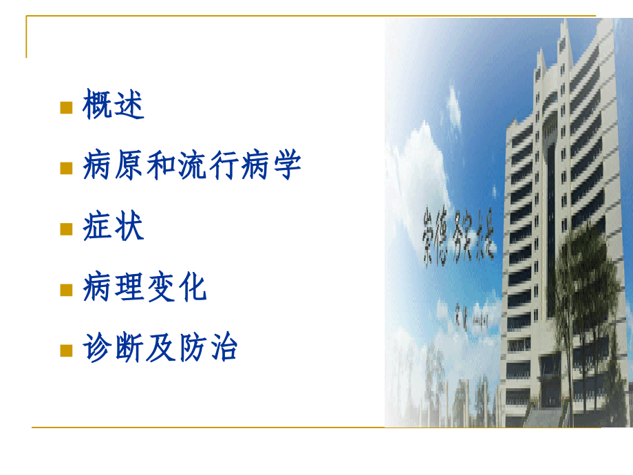 第三节传染性支气管炎.ppt_第1页