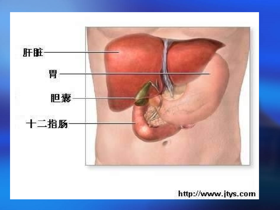 肝癌介入-演示文稿.ppt_第1页