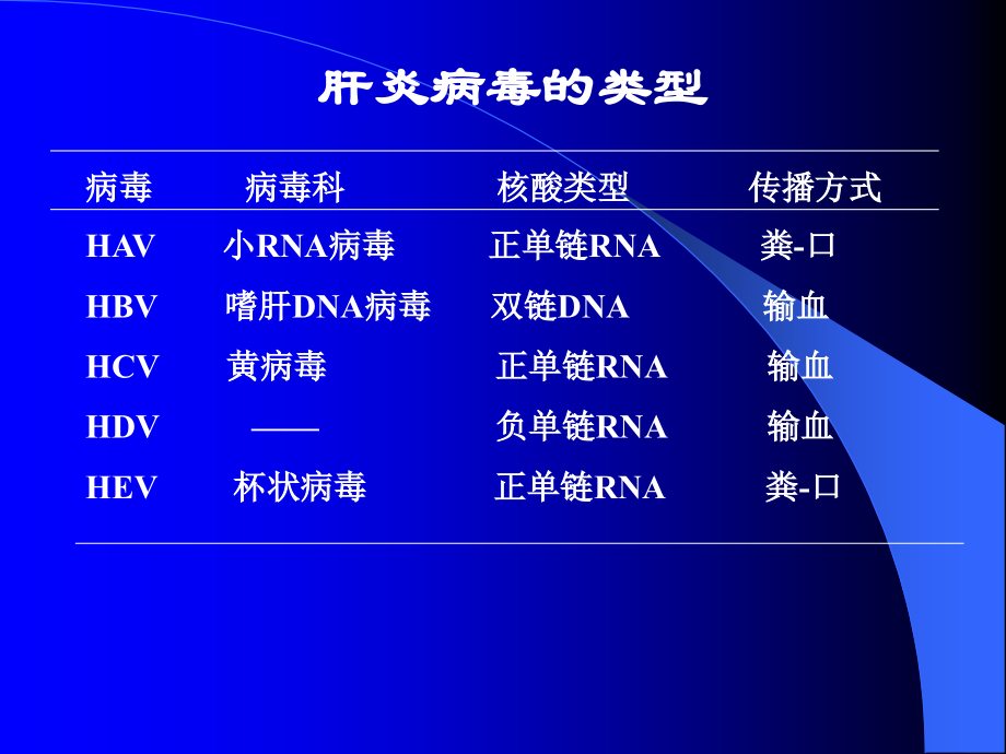 肝炎病毒n-.ppt_第2页