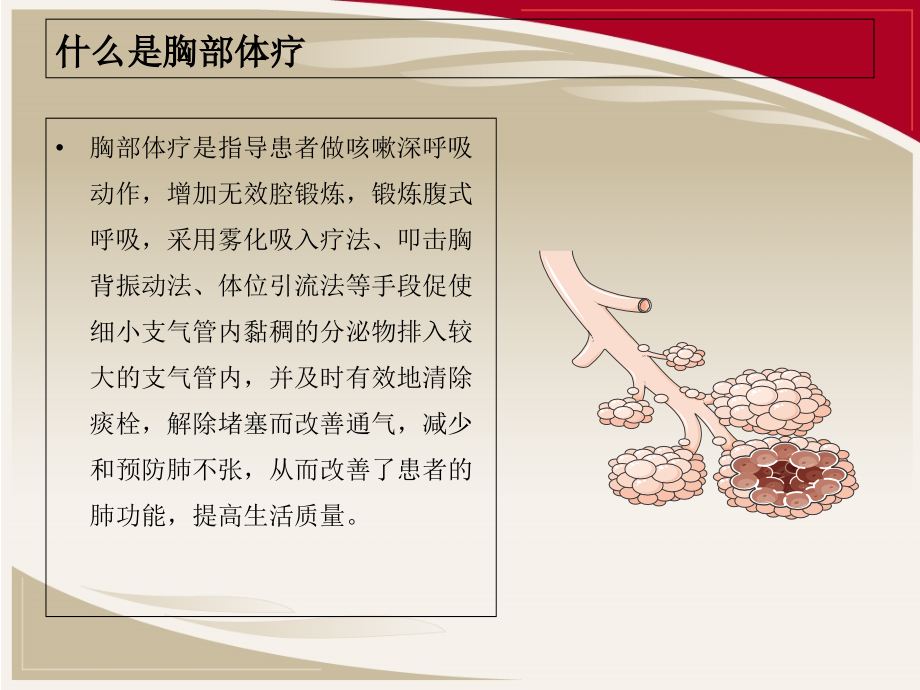 胸部体疗2015.ppt_第2页